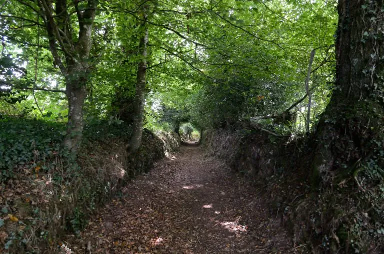 Chemin creux au village d'Hévédic à Quistinic